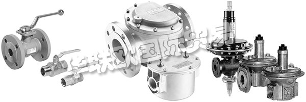 DUNGS是安全清潔氣體燃燒的同義詞，倡導與客戶緊密合作，