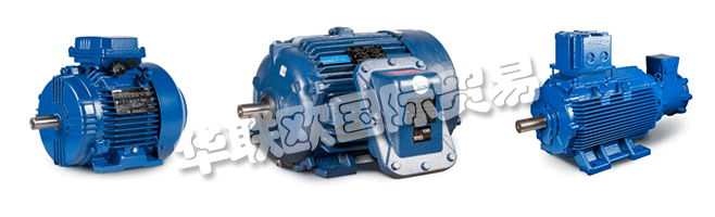 Regal的商業(yè)組織與CEMP?Srl一起，通過(guò)遍布許多國(guó)家的代理商，