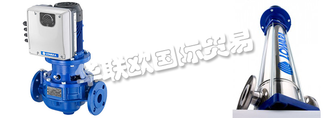 意大利LOWARA是一家專門生產(chǎn)不銹鋼泵的公司，他們提供的產(chǎn)品有：意大利LOWARA泵,、LOWARA水泵、循環(huán)器、端吸泵、多級(jí)泵、直列式泵、濕轉(zhuǎn)子循環(huán)器、變速泵、冷凝泵、自吸泵、潛水鉆孔泵、潛水污水和污水泵、潛水式脫水泵、外圍泵、泵控制器、驅(qū)動(dòng)器、變頻器、控制器、壓力開關(guān)控制器。