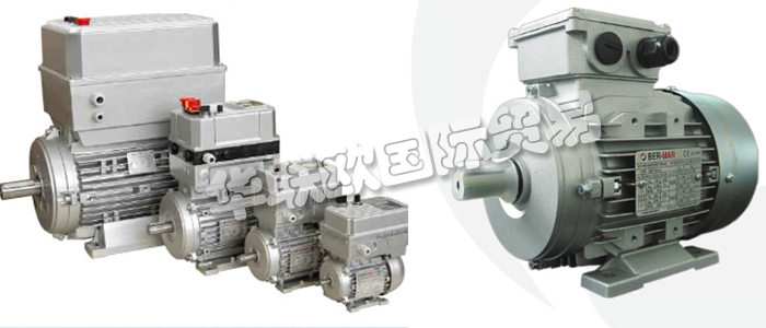 意大利BERMAR公司的主要產(chǎn)品包括：意大利BERMAR電機(jī)、BERMAR電動(dòng)機(jī)、異步電機(jī)、異步電動(dòng)機(jī)、永磁發(fā)動(dòng)機(jī)、逆變器、伺服通風(fēng)電動(dòng)機(jī)、伺服電動(dòng)機(jī)、工業(yè)洗衣機(jī)電動(dòng)機(jī)、單相電動(dòng)機(jī)、DRIVEJET鼓風(fēng)機(jī)、高效電機(jī)、泵、風(fēng)扇、工業(yè)壓縮機(jī)。