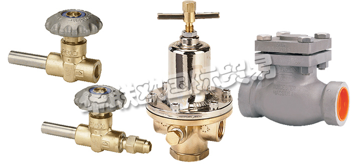 美國(guó)REGO公司主要供應(yīng)：美國(guó)REGO閥門(mén),REGO截止閥，低溫閥，止回閥，安全閥，閘閥，分流閥，減壓閥，調(diào)壓器等產(chǎn)品。