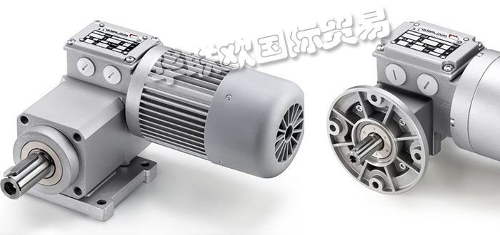 意大利MINIMOTOR齒輪減速機系列產(chǎn)品特點及型號介紹