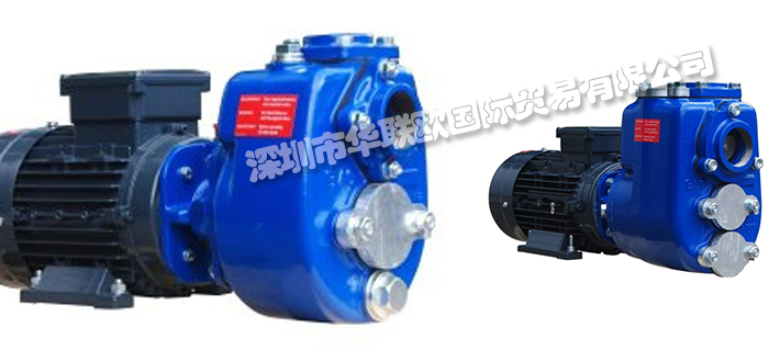 特價(jià)經(jīng)銷荷蘭BBA PUMPS抽水泵防爆泵