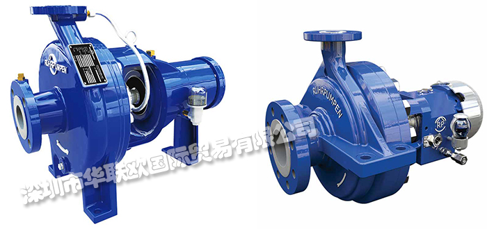 美國(guó)RUHRPUMPEN流程泵SCE API